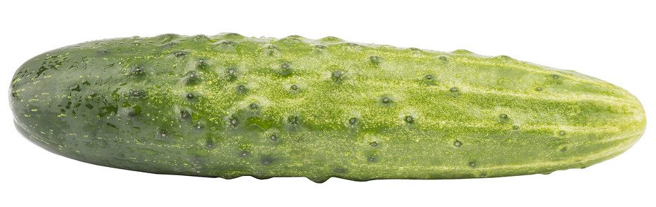 白色的黄瓜绿色蔬菜特写视图背景图片