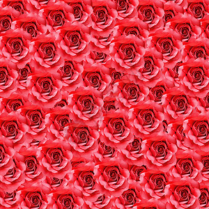 红玫瑰花黄色粉色红色框架背景图片