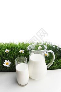 花地上的牛奶罐和玻璃杯牧场绿色甘菊乡村农场产品玻璃环境水壶农田背景图片