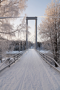 长桥冷冻天空森林背景图片