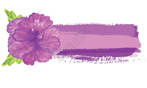 水彩画画矢量芙蓉 热带花卉 矢量旗帜与花背景图片