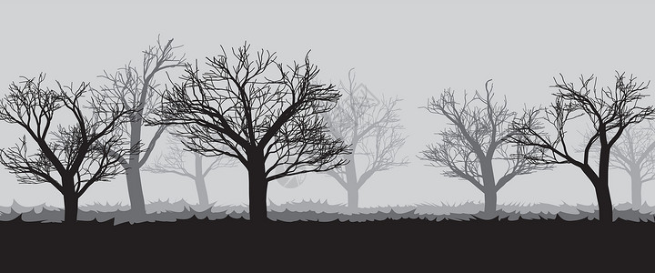 在暗雾中的林中 树的背影中医团体黑暗黑色插图薄雾花园环境农业公园背景图片