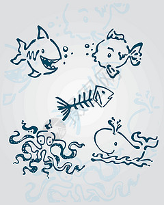 矢量海动物鲨鱼触手插图手绘动物骨骼海洋章鱼卡通片背景图片