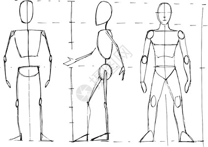 矢量男性人体姿势职位手绘身体插图背景图片