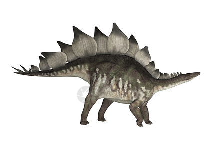 恐龙史地古龙怪物爬虫灭绝草食性水平生物古生物学白色动物背景图片