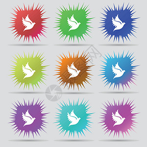 圣鸽保佑和平鸽形图标符号 一组由9个原始针头按钮组成 矢量插画