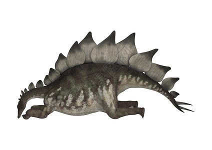 恐龙史地古龙爬虫动物休息白色灭绝怪物草食性古生物学生物水平背景图片
