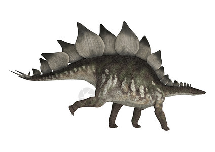 恐龙史地古龙白色草食性怪物灭绝水平生物古生物学爬虫动物跑步背景图片