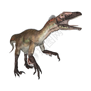 乌塔拉托尔白色危险动物荒野捕食者恐龙怪物食肉生物背景图片