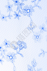 特殊带台布蓝色魅力风格纺织品女性装饰衣服树叶植物背景图片