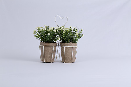 鲜花角金属塑料家居饰物装饰品花朵造型背景图片