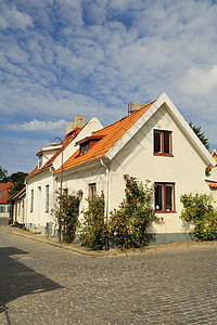 瑞典维斯比瑞典语住房植物白色文化乡村建筑风光田园小屋房子蓝色背景