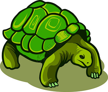 加拉帕戈斯群岛加拉帕戈斯海龟快乐微笑绿色吉祥物想法动物宠物插图卡通概念插画