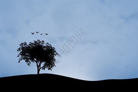 树植物插图日出艺术飞行爬坡生态蓝色黑色插画师背景图片