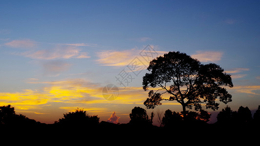 树影与美丽的日落天空日光国家天空灯光夕阳季节农村气候天气背景图片