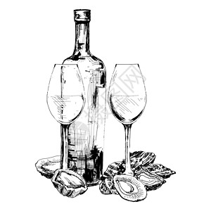意大利葡萄酒瓶酒 牡蛎和两个杯子插图瓶子贝类绘画蚀刻手绘生蚝玻璃墨水酒精插画
