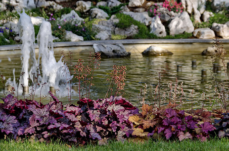 紫苏草小水喷泉 流淌在前面的美容岩背景