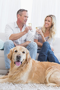 一对夫妇在他们面前 和他们的狗一起喝香槟泡酒住所宠物男人气泡奢华休闲服装微笑客厅背景图片