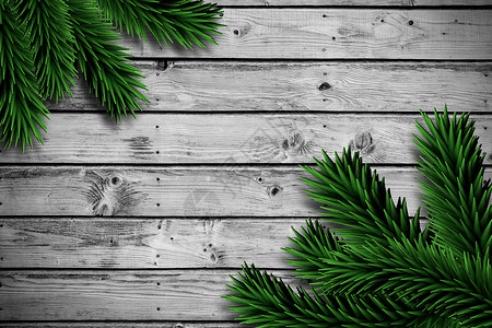木制木板上的箭枝插图枞树灰色木头环境叶子绿色背景图片