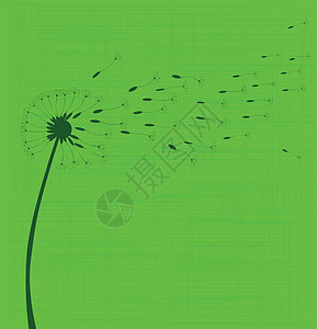 丹麦种子植物学绘画时钟艺术品绿色发芽播种植物杂草艺术背景图片