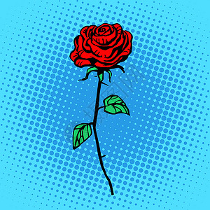 红花玫瑰 有刺背景图片