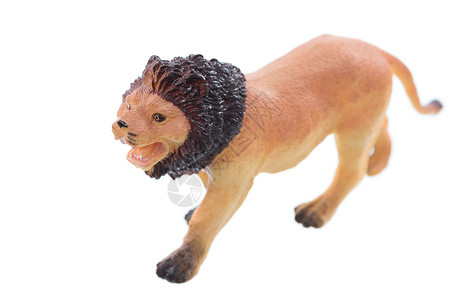 玩具狮子狮背景图片