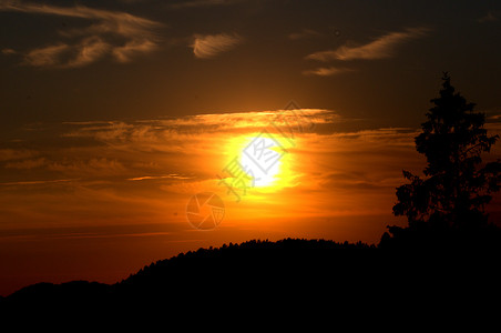 日落日出太阳森林背景图片