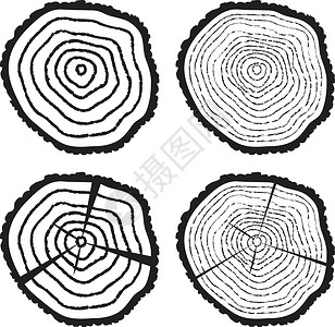 柴窑木制树原木的木头切除树桩森林松树垃圾插图戒指年度裂缝生活树干设计图片