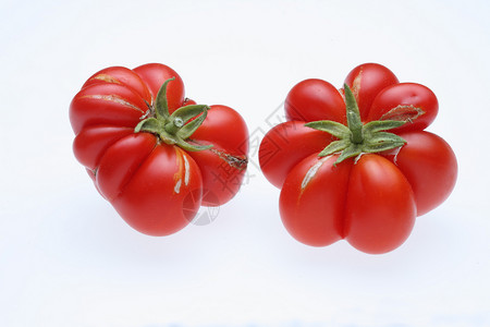 红番茄 各种品种 在白色的地面上与Reisetomate水果食物红色蔬菜背景图片