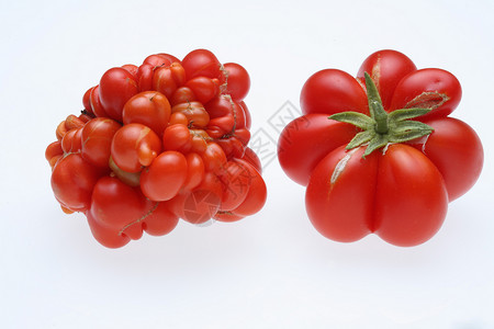 红番茄 各种品种 在白色的地面上与Reisetomate水果蔬菜红色食物背景图片