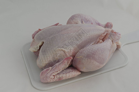 原生鸡鸡小鸡烹饪食物白色母鸡食谱背景图片