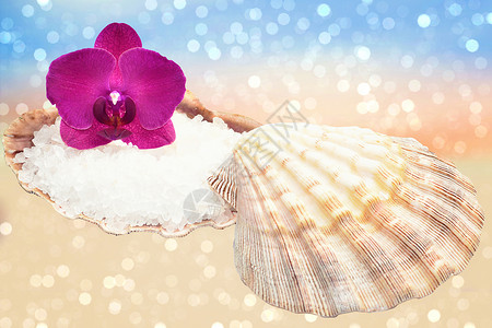 兰花和贝壳 在闪亮沙滩上加海盐高清图片