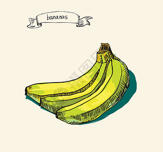 香蕉的古董图示手画草图绘画插图皮肤活力果汁食物坡度早餐情调背景图片