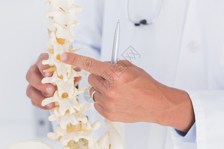 脊椎模型医生显示解剖脊椎骨科从业者诊断医学工作服人骨专业诊所手势服务背景
