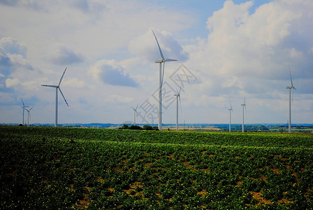 风速生态农业活力力量绿色场地背景图片