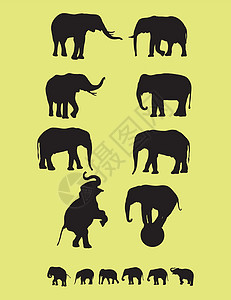 动物印花大象西尔胡维特印花黑色艺术动物图标符号设计标志剪影设计图片