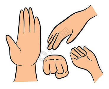 拳头形象卡通人类手势图像集 矢量插图孤立在白色背景上车身拳头手指收藏肉色拇指棕榈颜色标识卡通片插画