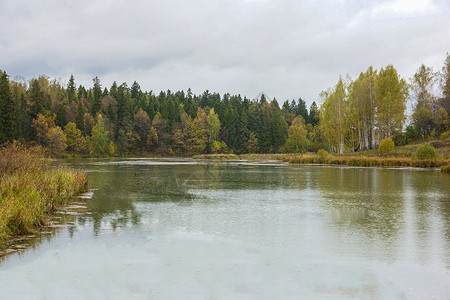 阿布拉姆策沃保留地树木建筑学池塘背景图片
