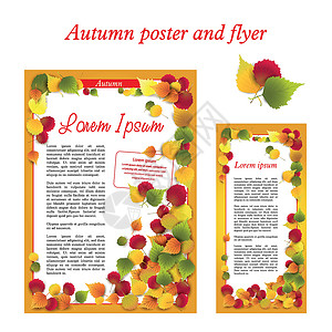 矢量 秋天海报和传单上都有多彩的叶子背景图片