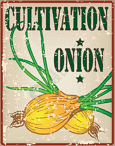洋葱种植艺术菜单蔬菜农业标签框架环境黄色卡片绿色背景图片
