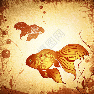 黄金扇尾鱼黄金鱼类古鱼背景插画