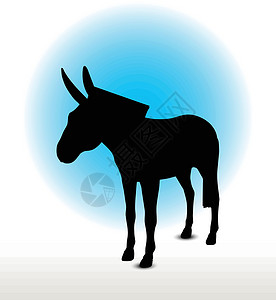 驴环形图骡子哺乳动物草图冒充阴影小马插图驴骡白色姿势背景图片