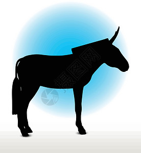 驴环形图姿势驴骡冒充哺乳动物草图插图白色骡子小马阴影背景图片
