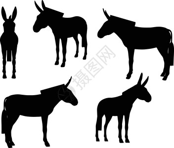 驴环形图姿势草图哺乳动物冒充小马白色阴影驴骡骡子插图背景图片