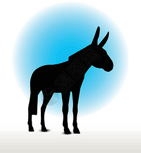驴环形图哺乳动物姿势冒充骡子小马驴骡白色阴影草图插图背景图片
