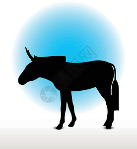 驴环形图哺乳动物小马冒充姿势骡子插图白色草图驴骡阴影背景图片
