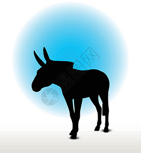 驴环形图插图姿势白色冒充骡子阴影哺乳动物驴骡草图小马背景图片