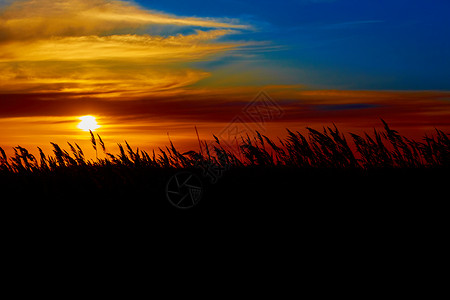 草原的日落季节草地地面戏剧性土地小路阳光自然远景蓝色国家高清图片素材