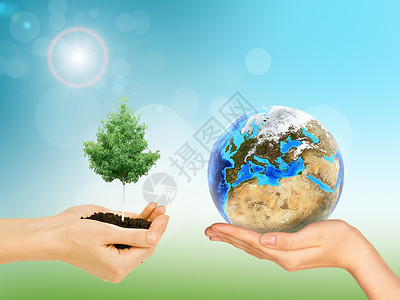绿树和地球的女性手背景图片