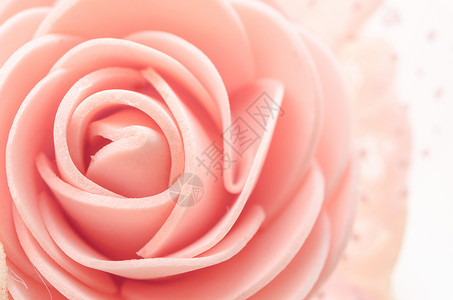 玫瑰中心请柬美术婚礼柔软度新娘植物群宏观粉色红色背景图片